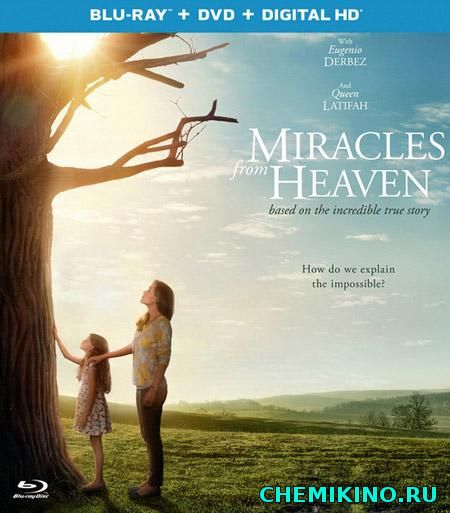 სასწაულები სამოთხიდან (ქართულად) / Miracles from Heaven (2016)