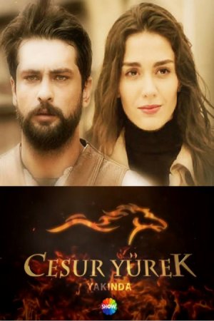 თურქული სერიალი კაცი (ქართულად) / turquli seriali kaci (qartulad) (2015)