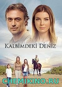 მეორე შანსი (ქართულად) / Дениз в моём сердце / Kalbimdeki Deniz (2017)